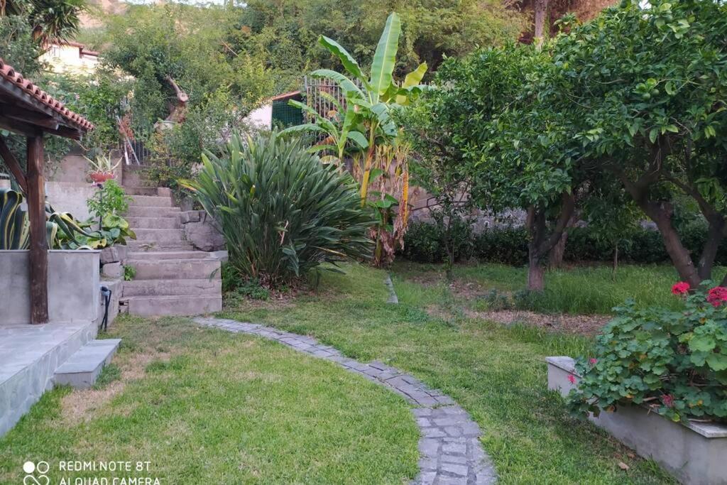 Relax On The Sea Villa Pizzo  Exterior foto