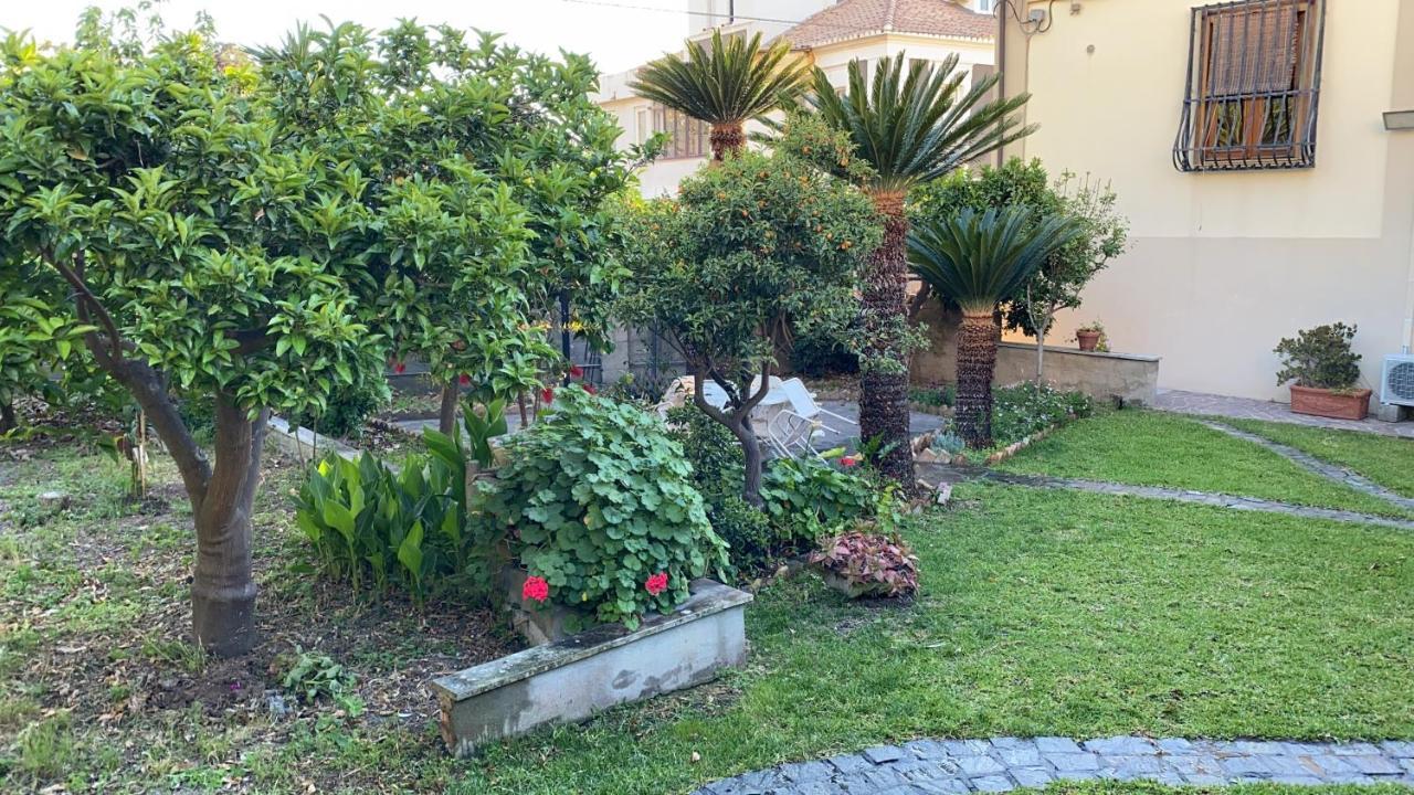 Relax On The Sea Villa Pizzo  Exterior foto